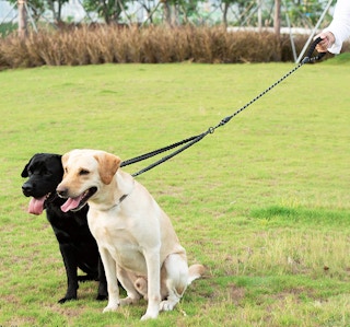 amazon dual dog leash 2022 2 1651518635 1651518635