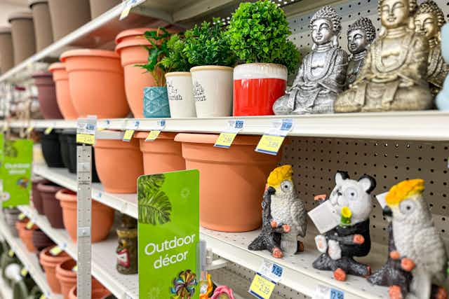 Save 70% on Garden Decor, Planters, Tools, and More at Rite Aid card image