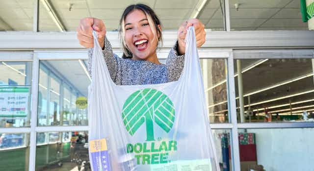 Dollar Tree Black Friday Is More Like a Season-Long Event card image