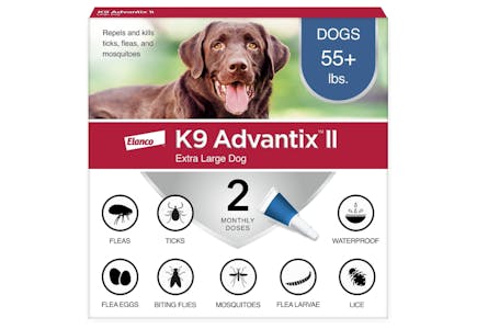 K9 Advantix II Treatment