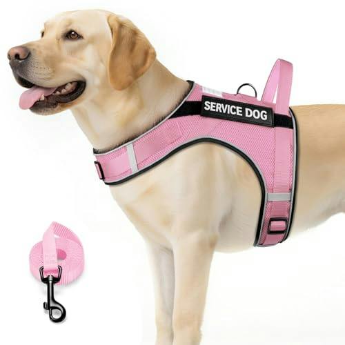 Service Dog Vest