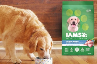 a dog eating iams dog food