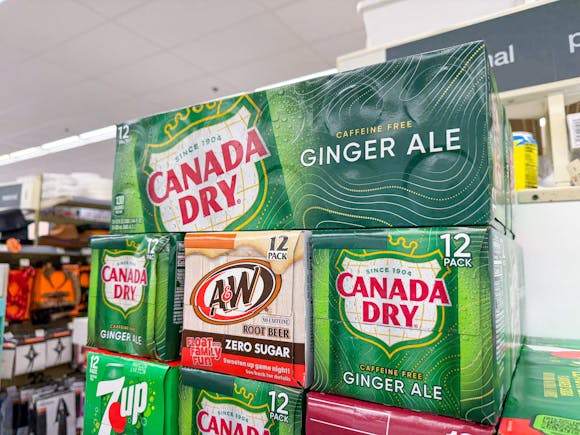 Canada Dry Ginger Ale 12-Pack, as Low as $4.68 on Amazon