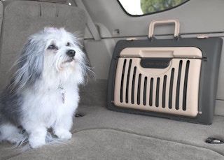 Foldable Travel Pet Carrier