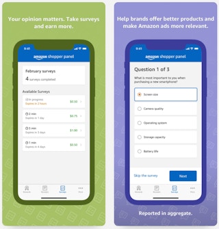 amazon shopper panel surveys 1603306781 1603306781