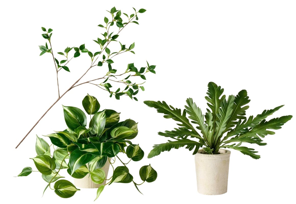 Hearth & Hand Artificial Plant