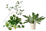 Hearth & Hand Artificial Plant