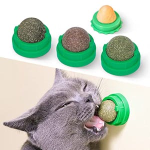 Catnip & Silvervine Cat Toys