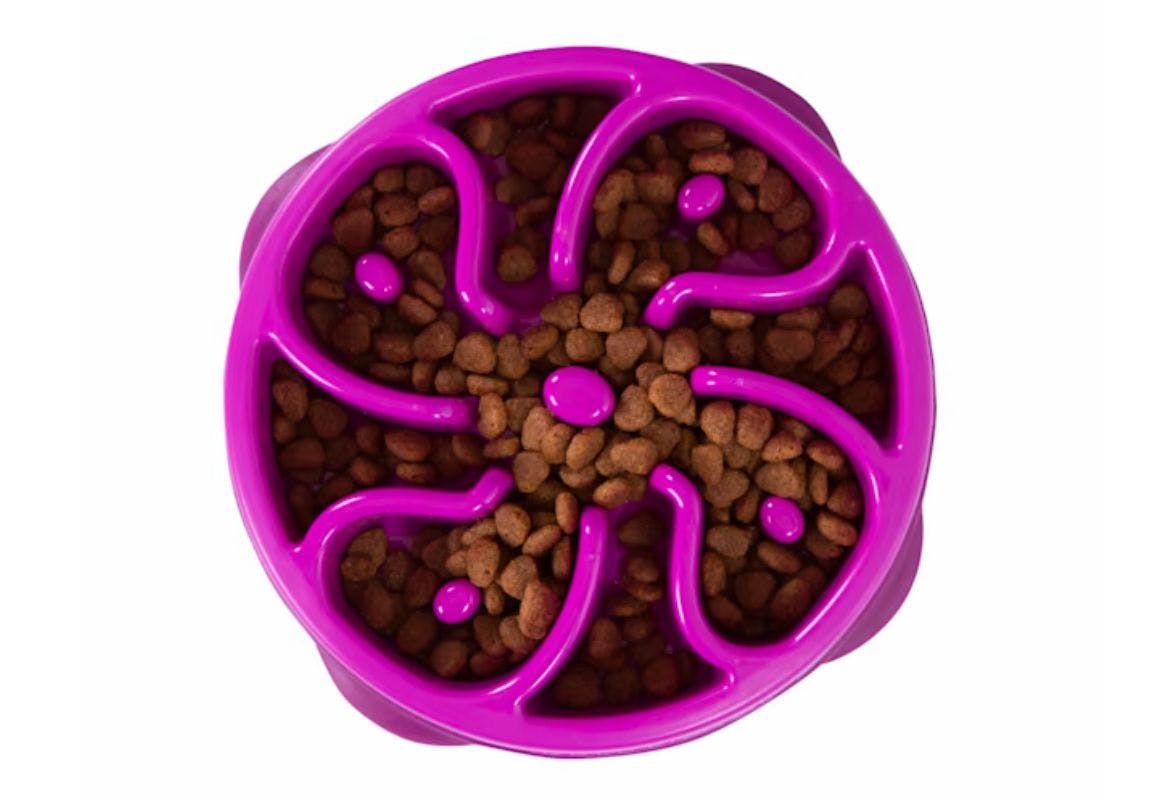 Outward Hound Dog Bowl