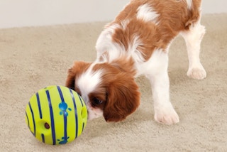 Wobble Wag Giggle Ball