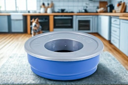 Save $11: Petmate Pet Bowl, Just $6 at Walmart — Beats Amazon Price card image