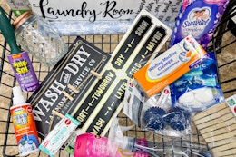 Organize and Restock Your Laundry Area for $1.25 per Item at Dollar Tree card image