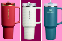 stanley-tumbler-40-ounce