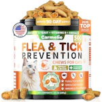 Flea and Tick Prevention for Cats