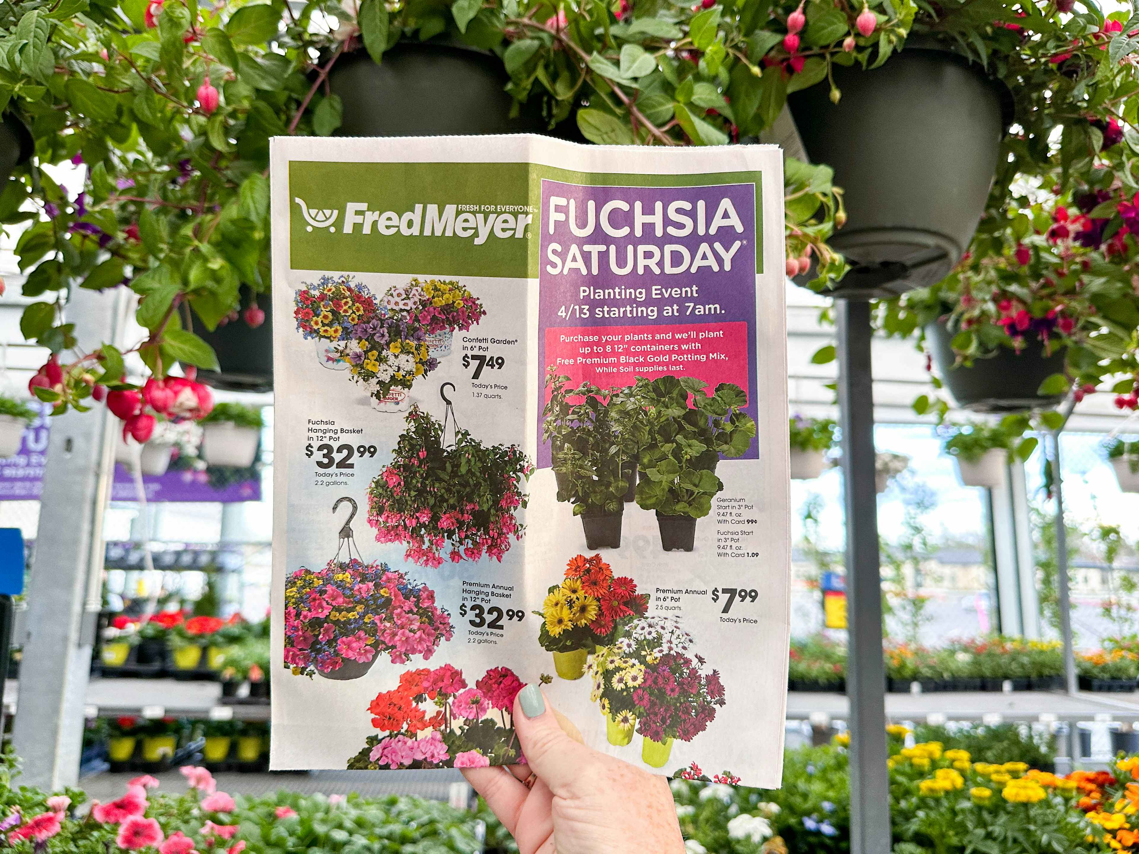 Fuchsia Saturday 2025