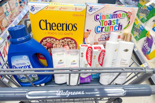 walgreens groceries in shopping cart