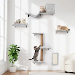Cat Wall Shelves