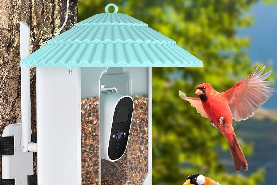 Smart Bird Feeder With Camera, $65.49 on Amazon (Reg. $170)