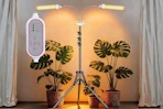 amazon plant light B0FR2LWQDC