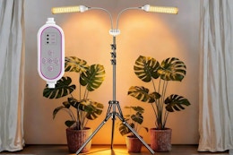 amazon plant light B0FR2LWQDC