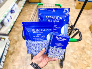 dollar tree bermuda blue citrus 1