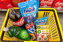 dollar general groceries in a yellow shopping basket