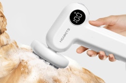 an electric pet brush shampooing a dog