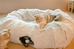 These Large Tunnel Cat Beds Are as Low as $22.79 on Amazon card image