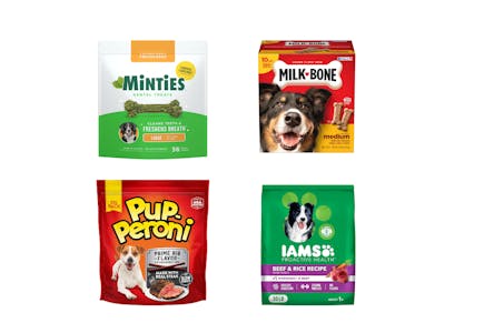 4 Dog Care Products