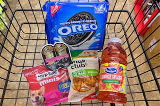 dollar tree groceries in a shopping cart