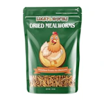 Dried Mealworms