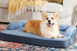 a dog laying on a dog bed