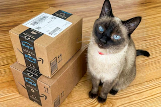 amazon-pet-day-26-9