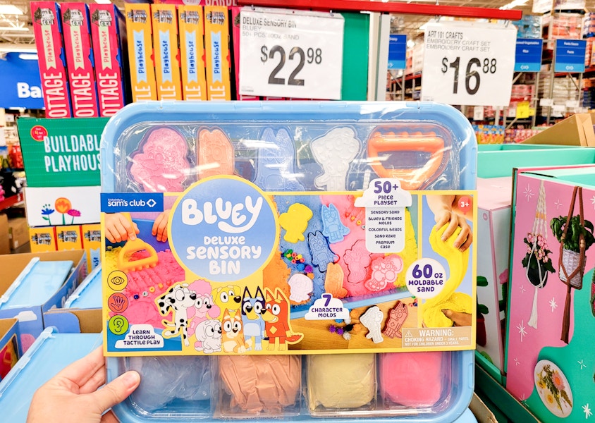 sams-club-bluey-sensory-bin-2