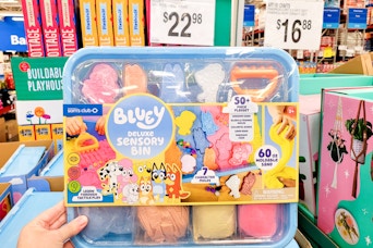 sams-club-bluey-sensory-bin