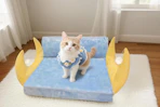 cat sitting on moon inspired cat bed