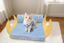 cat sitting on moon inspired cat bed
