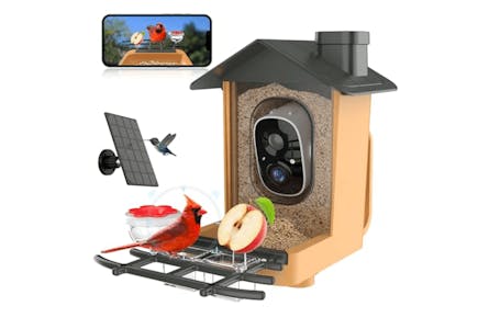 Bird Feeder With HD Camera