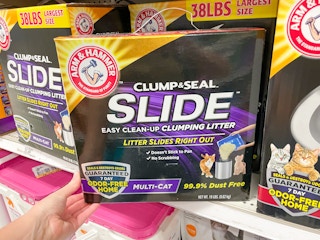 amazon pet day arm and hammer clump and seal cat litter 1681757269 1681757269