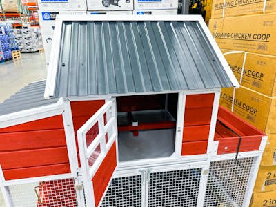 Steel Frame Chicken Coop