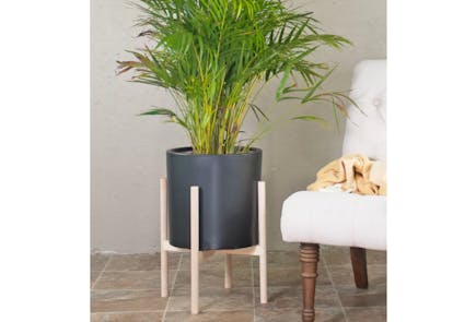 Mercury Row Pot Planter