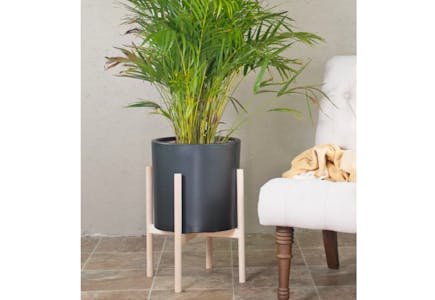 Mercury Row Pot Planter