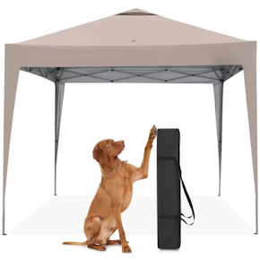 Pop Up Canopy Tent