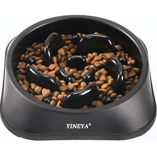 Slow Feeder Dog Bowl