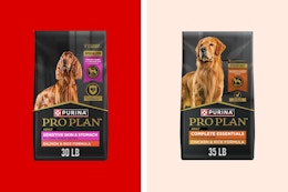 Purina Pro Plan Dog Food, as Low as $48 on Amazon (Reg. $77+) card image