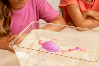 Walmart-Pets-Alive-turtle-surprise-1