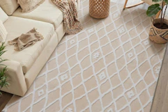 an area rug in a living room