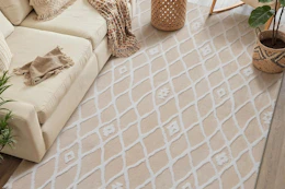 an area rug in a living room