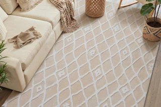 an area rug in a living room