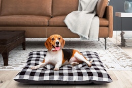 2 Tufted Pillow Large Dog Beds for $10.99 at Walmart (Will Sell Out) card image